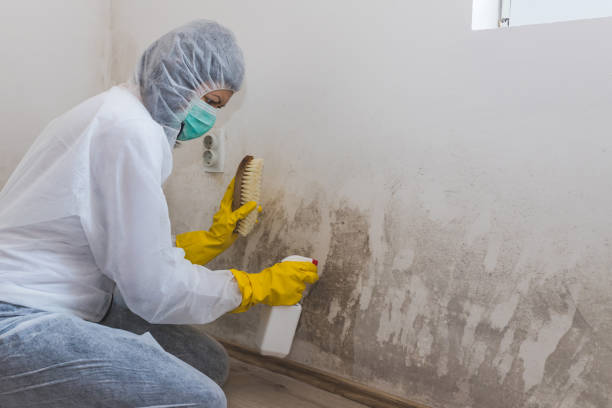 Water Damage Restoration in Lockport, LA