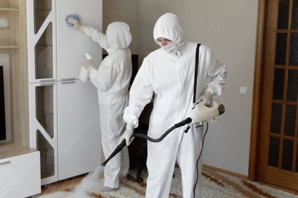 Certified Mold Removal in Lockport, LA