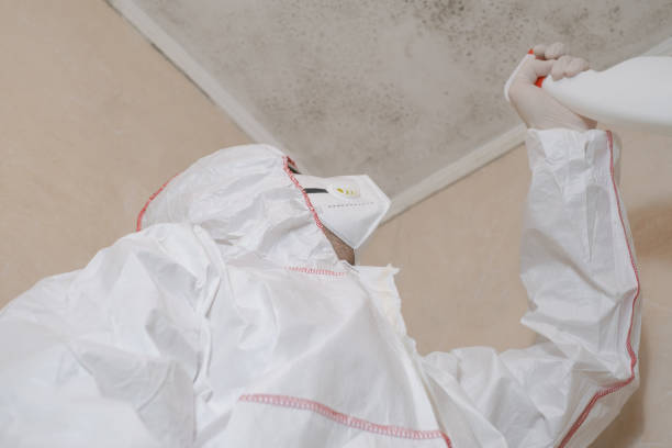 Best Commercial Mold Removal  in Lockport, LA